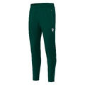 Archen Training Pants BGRN L Treningsbukse -Unisex