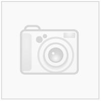 NAV Agder Liten Logo Hvit N Transfermerke  80mm x 61mm